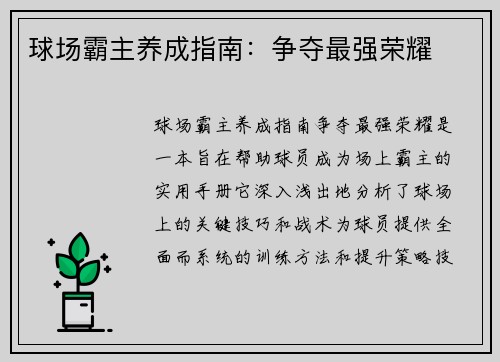 球场霸主养成指南：争夺最强荣耀