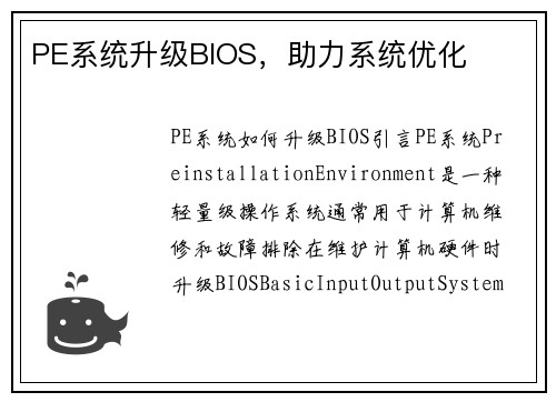 PE系统升级BIOS，助力系统优化